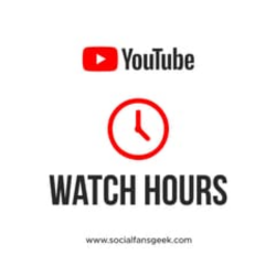 youtube monetization services